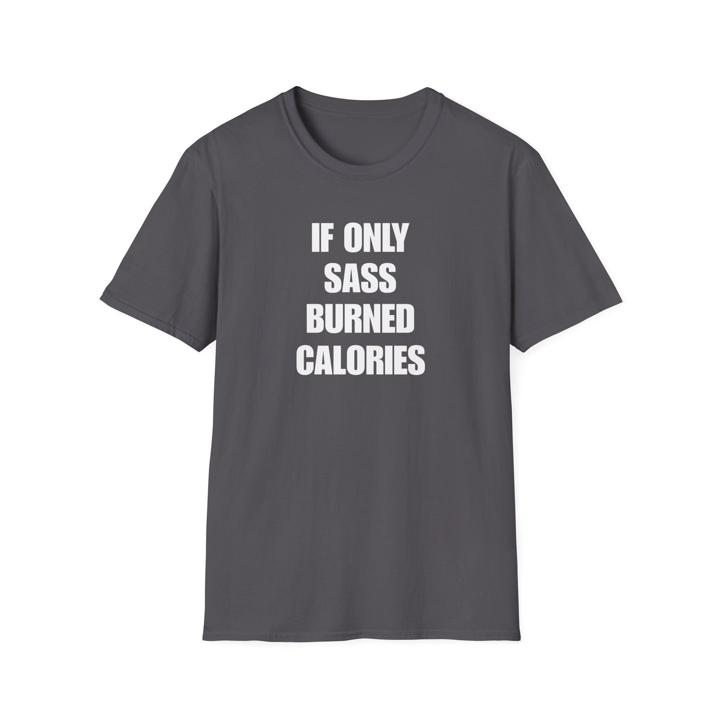IF ONLY SASS BURNED CALORIES T-SHIRT