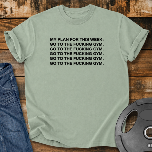 My Plan for This Week Vintage Wash T-Shirt