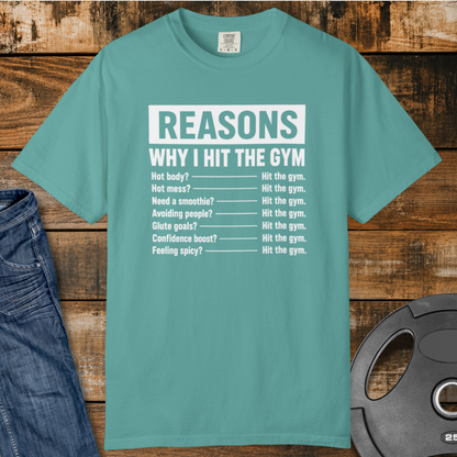 Reasons I Hit The Gym T-Shirt