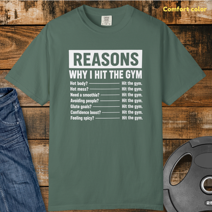 Reasons I Hit The Gym T-Shirt