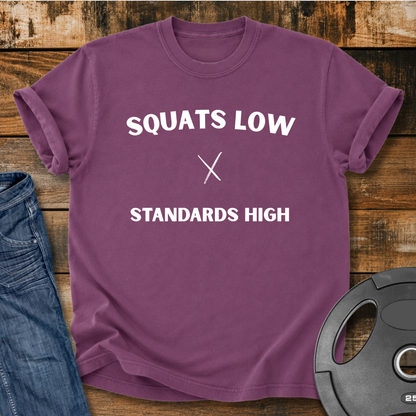 Squats Low Standards High Vintage Wash T-Shirt