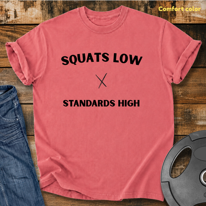 Squats Low Standards High Vintage Wash T-Shirt